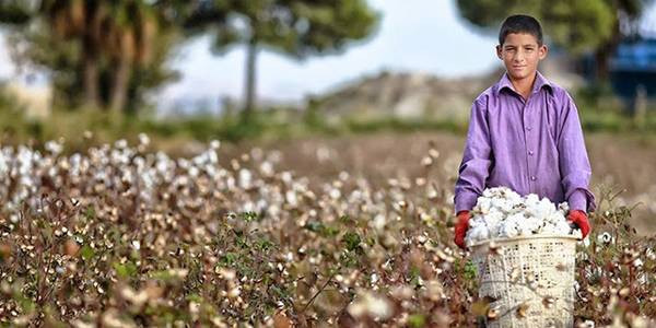 Milyonlarca çalışanı ilgilendiren genelge yayımlandı - Resim: 2